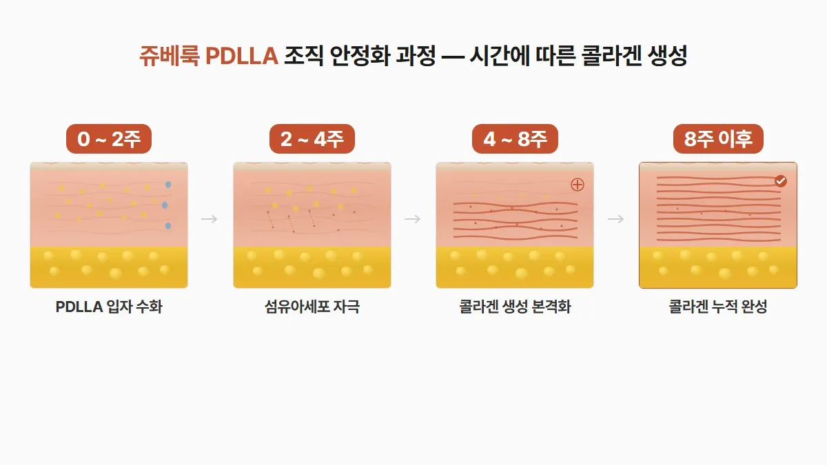 쥬베룩 시술 주기, 3~4주가 효과 누적의 핵심입니다