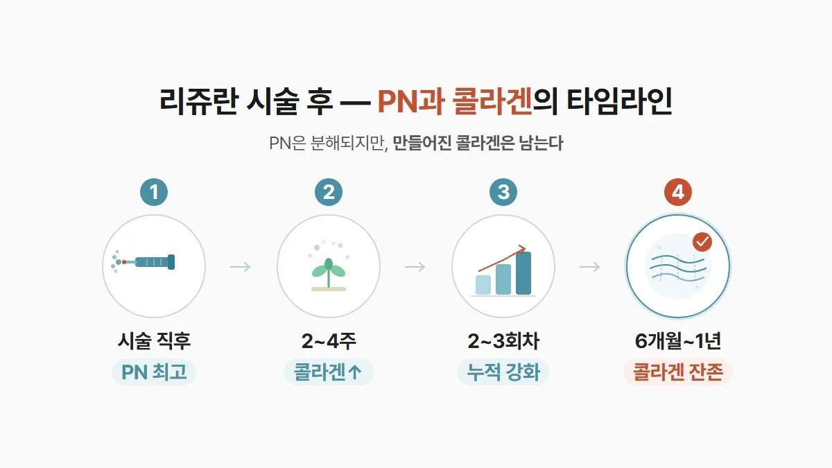 강남 피부과 리쥬란 효과 지속 기간 타임라인