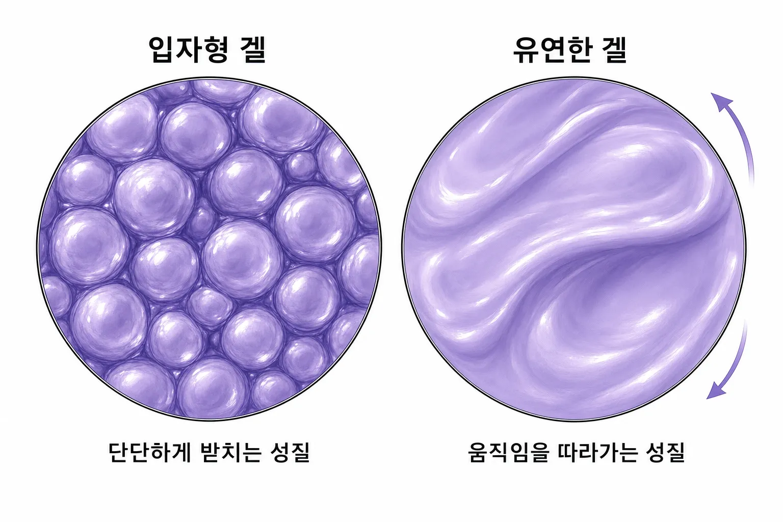 입자형 겔과 유연한 겔의 질감을 나란히 비교한 확대 도해 — 단단하게 받치는 성질과 움직임을 따라가는 성질