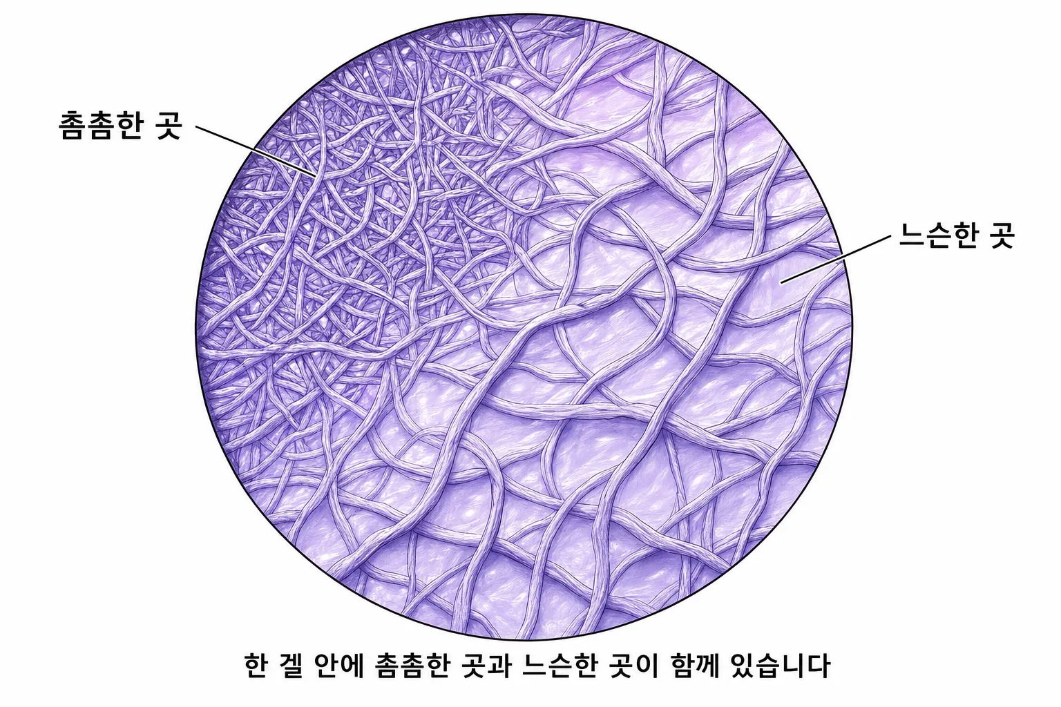 벨로테로(Belotero) — 강남역 페슈의원