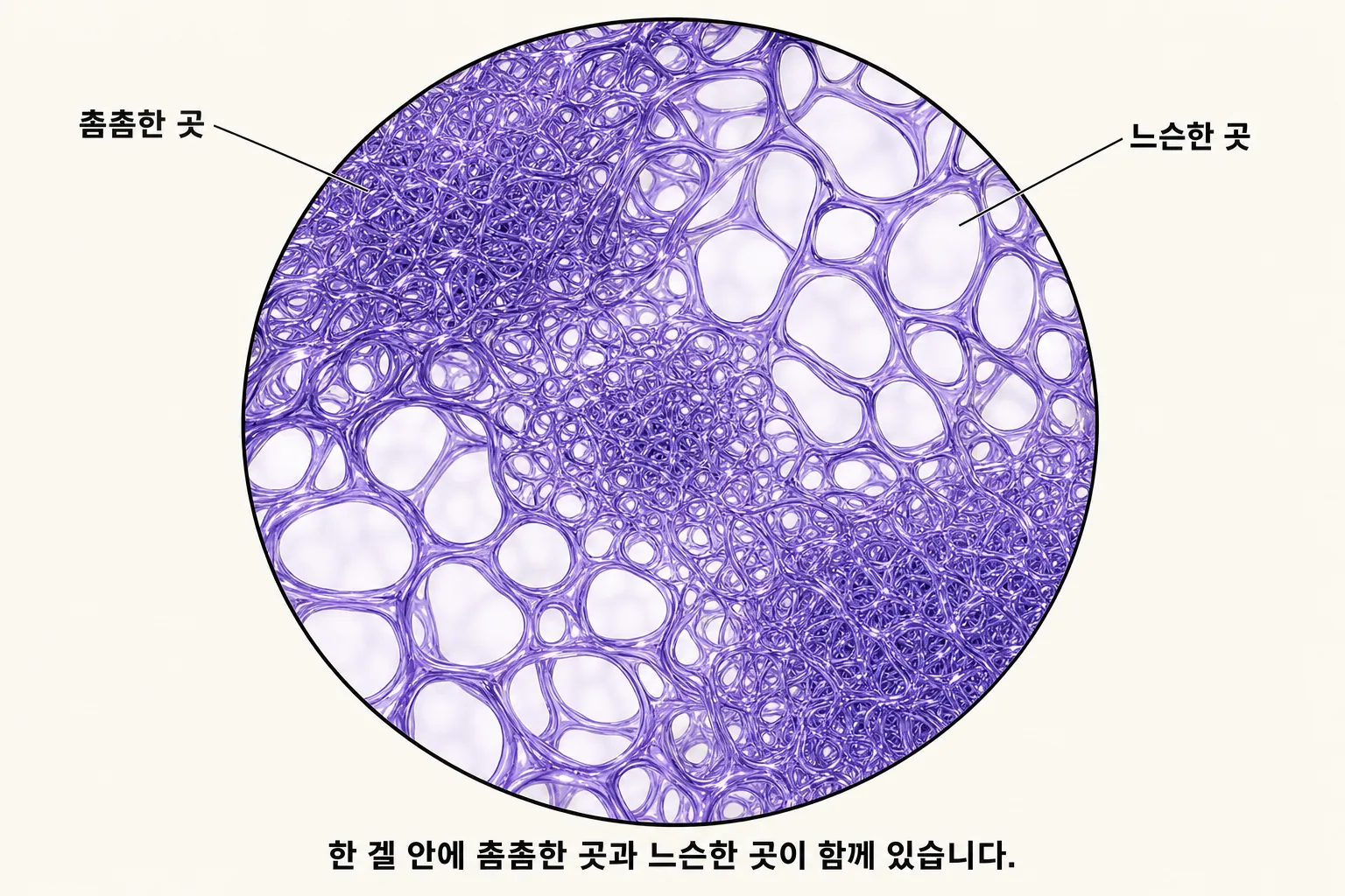 벨로테로(Belotero) — 강남역 페슈의원