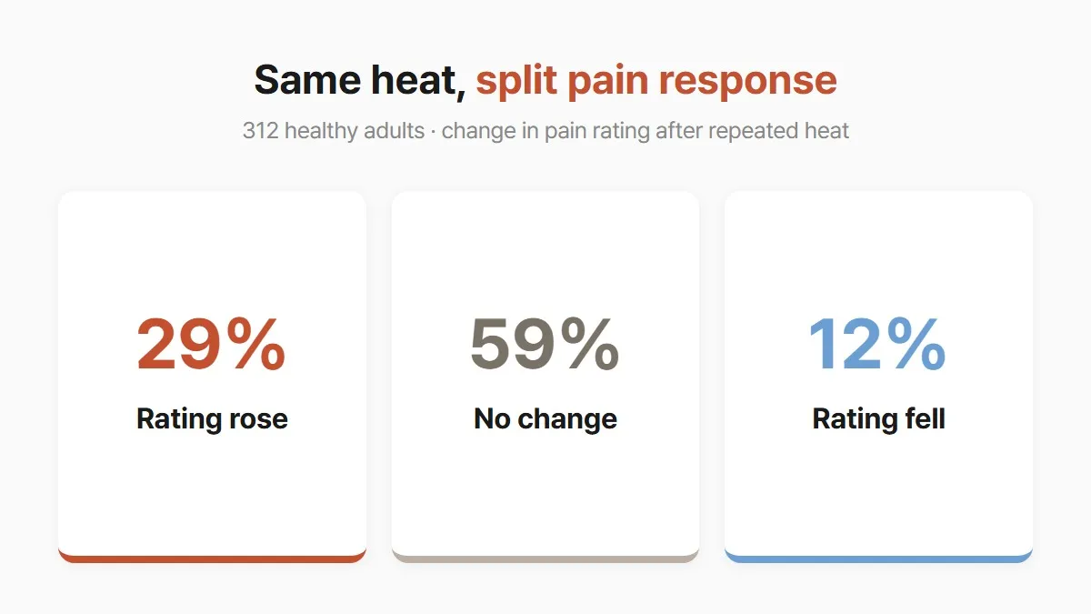 Same heat stimulus split pain response in 312 adults