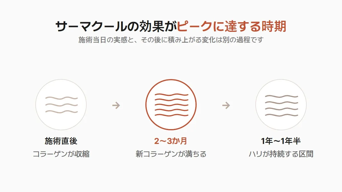 韓国のサーマクール 効果がピークに達する時期