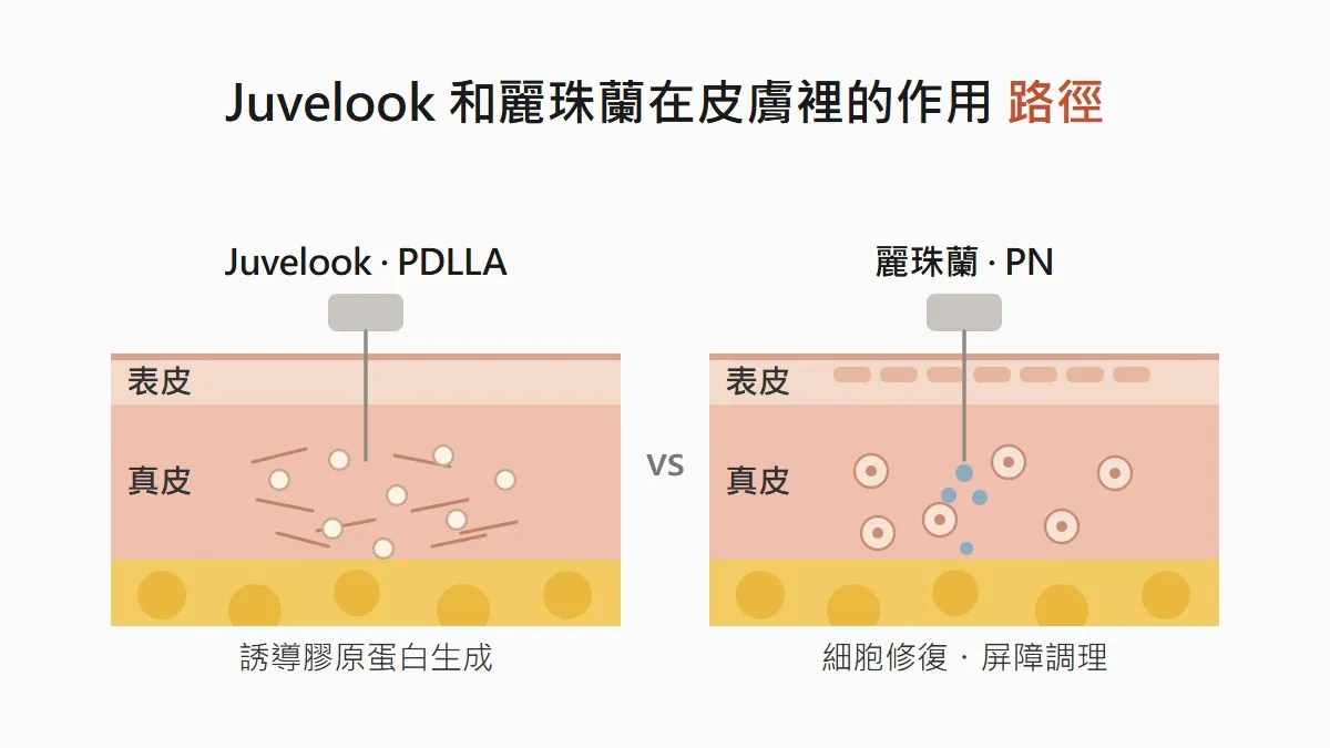 韓國 Juvelook 和麗珠蘭的差異，我的狀況該選哪一個？