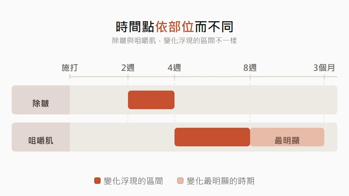 首爾肉毒效果出現的時間點