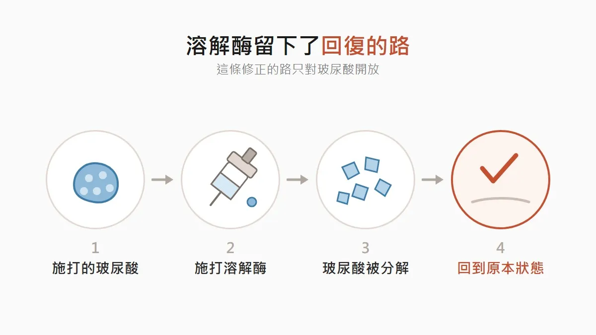 韓國玻尿酸用溶解酶回復的過程